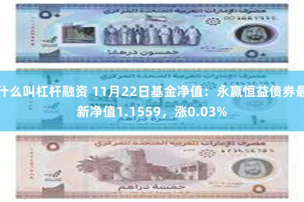 什么叫杠杆融资 11月22日基金净值：永赢恒益债券最新净值1.1559，涨0.03%