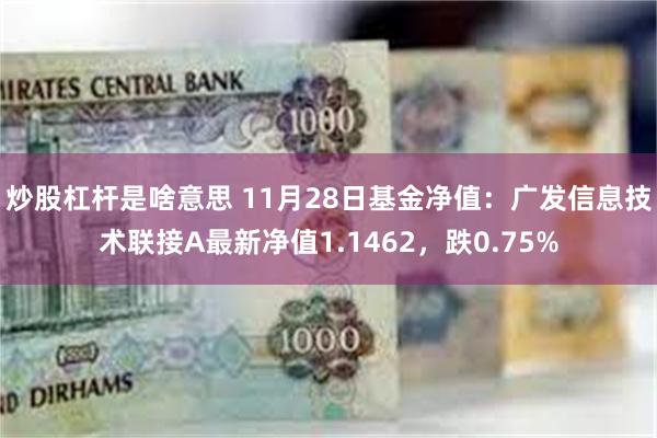 炒股杠杆是啥意思 11月28日基金净值：广发信息技术联接A最新净值1.1462，跌0.75%