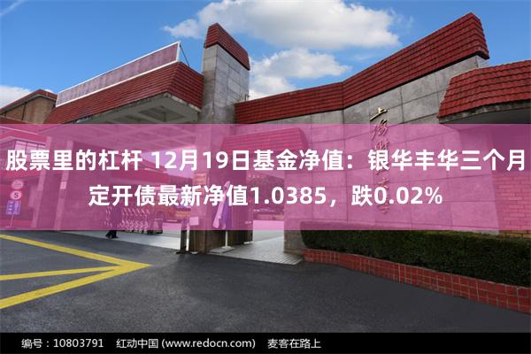 股票里的杠杆 12月19日基金净值：银华丰华三个月定开债最新净值1.0385，跌0.02%