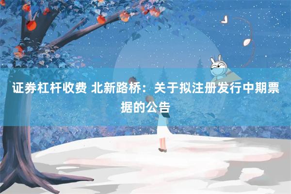 证券杠杆收费 北新路桥：关于拟注册发行中期票据的公告